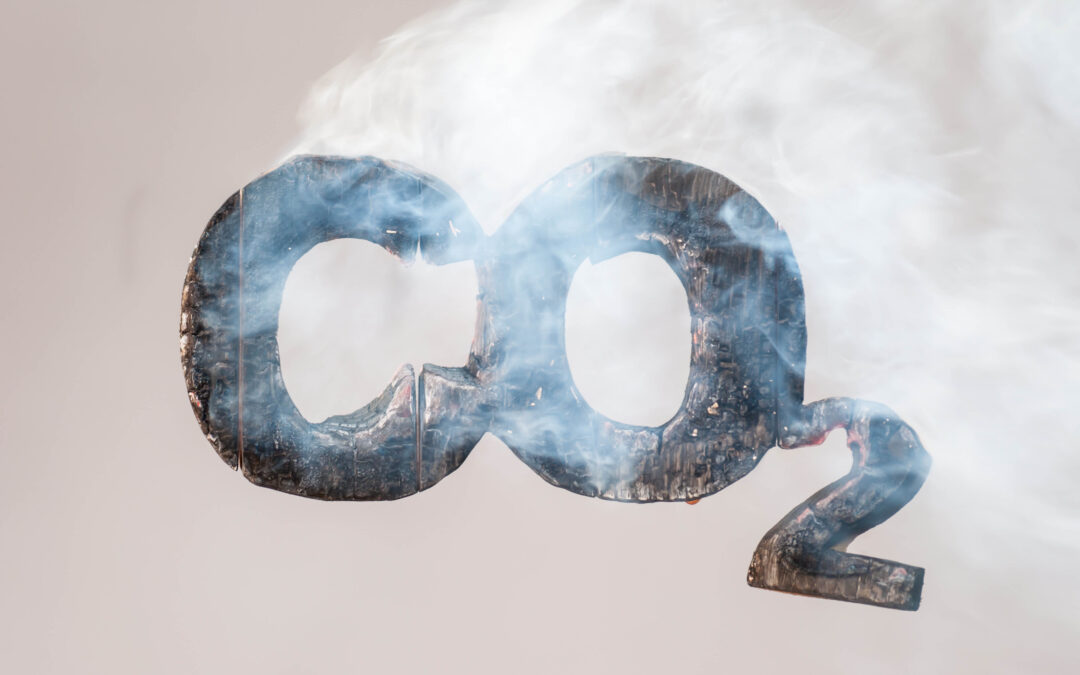 CO2 emissions |News's Ark
