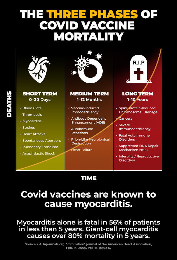 Three Phases Covid Vaccine Mortality